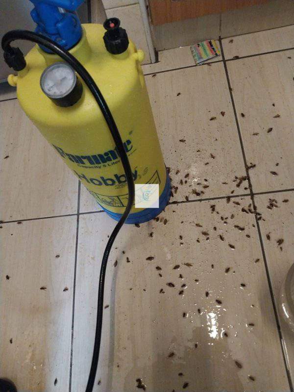 FB_IMG_1720892330124